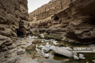 «کال جنی» طبس