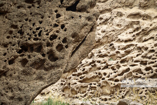 «کال جنی» طبس
