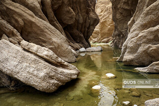 «کال جنی» طبس