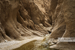 «کال جنی» طبس