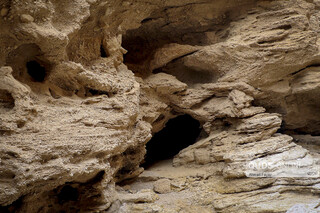 «کال جنی» طبس