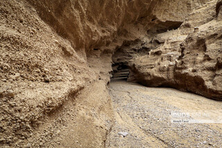«کال جنی» طبس