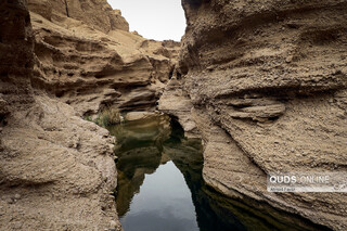 «کال جنی» طبس