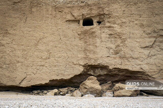 «کال جنی» طبس