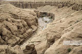 «کال جنی» طبس