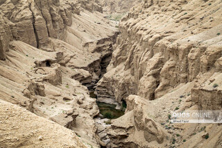 «کال جنی» طبس