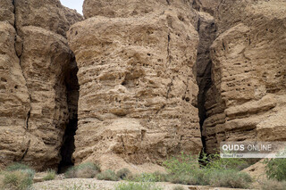 «کال جنی» طبس