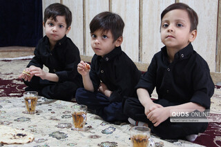 پنج قلوهای مشهدی در آستانه پنج سالگی