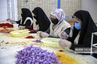جهادگران بسیجی در قرارگاه اقتصادی زعفران