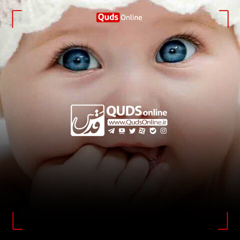 فرزندآوری پر هزینه / فیلم فرزندآوری پر هزینه / فیلم