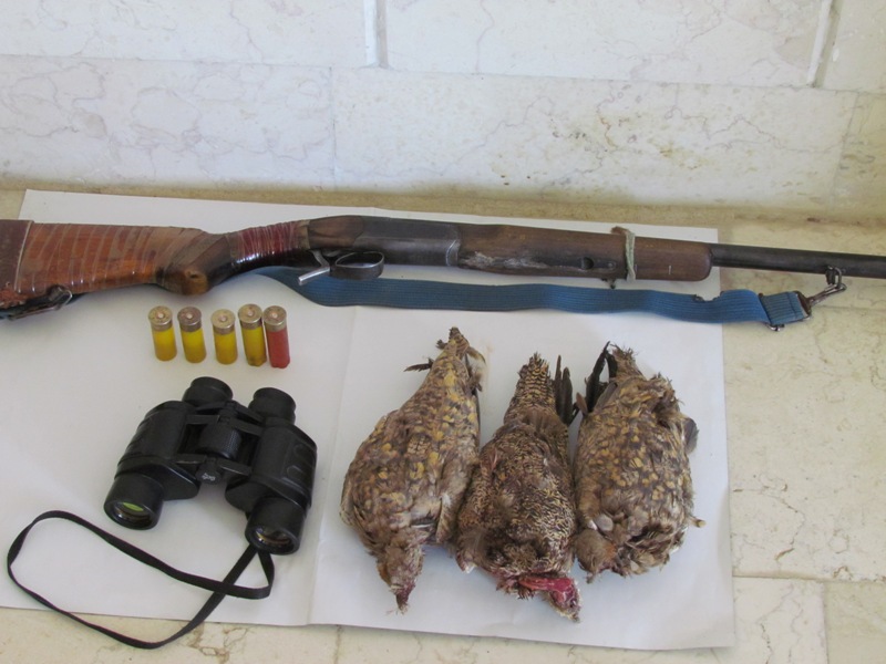 دستگیری 2 نفر شکارچی متخلف قبل از اقدام به شکار در خراسان شمالی 