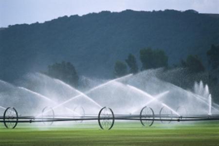 اجرای آبیاری مدرن دراراضی کشاورزی حوضه آبخیز ، کلیدراه احیای دریاچه ارومیه 