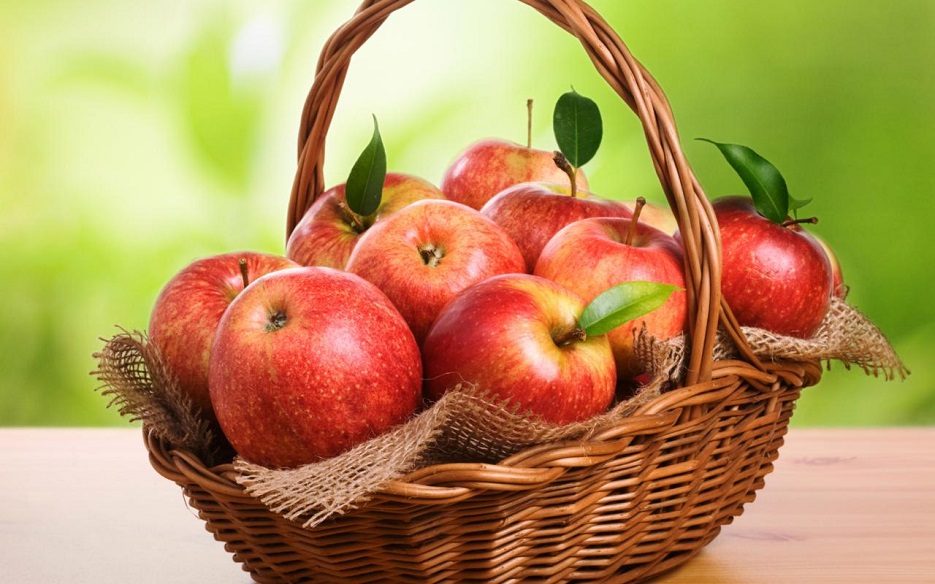  برداشت ۲۷ هزار تن سیب از باغات شهرستان هشترود