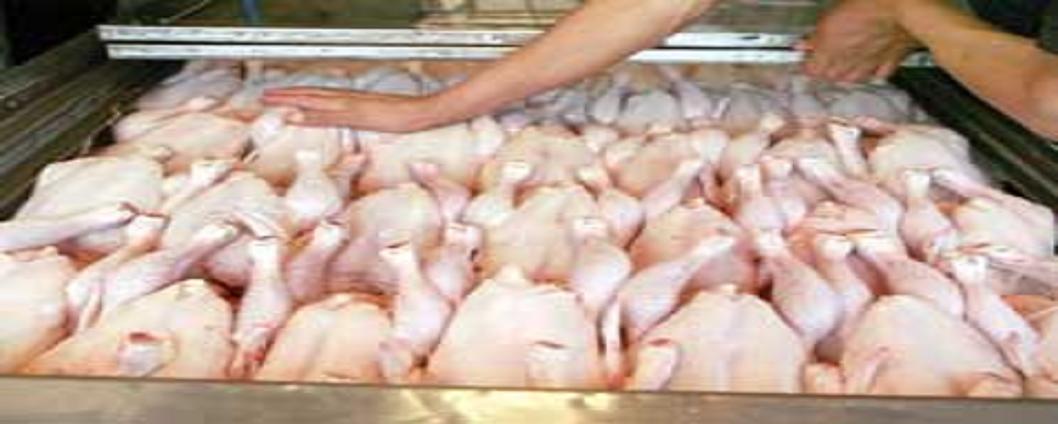 تامین گوشت مرغ هیئت‌های مذهبی/ مرغ کیلویی 6200 تومان