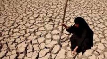 فائو: کشاورزی عراق رو به نابودی است