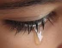 کاخ های بهشت به چه کسانی واگذار می شود؟