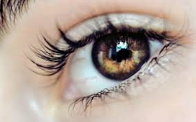 تاثیر آلودگی هوا بر بیماری‌های چشمی اثبات شده است/شيوع بيماري وابسته به سن شبكيه بالاي 60 سال