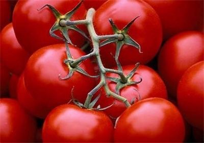 گوجه ۸۰۰۰ تومانی تا ۱۵ روز دیگر ارزان می‌شود