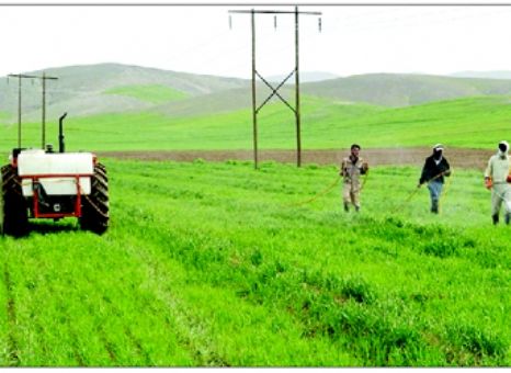  سطح پوشش بیمه کشاورزی در بستان آباد مطلوب نیست