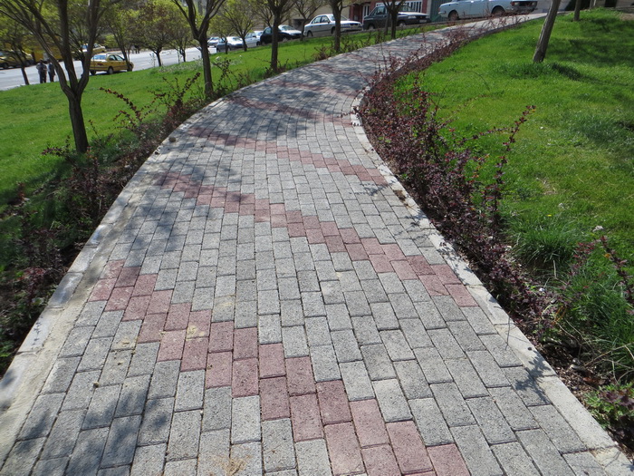 رفع موانع فیزیکی در پارکهای تبریز جهت بهره‌مندی یکسان معلولین از فضاهای شهری