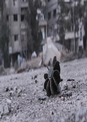 حمله خمپاره‌ای به حلب ۳۷ کشته و زخمی برجای گذاشت