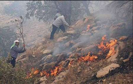 آتش سوزی به پنج و نیم هکتار از جنگل های غرب مازندران خسارت وارد کرد