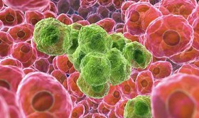 شناسایی 10 آنتی‌بادی جدید برای مقابله با سرطان
