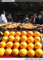 پرتقال از مصر و لبنان قاچاق می‌شود/برای شب عید با کمبود پرتقال و نارنگی مواجه هستیم