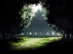 اجنه چگونه زاد و ولد می کنند؟