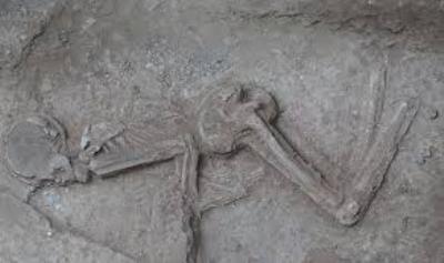 شناسایی ژنتیک اسکلت زن 7 هزار ساله تهران