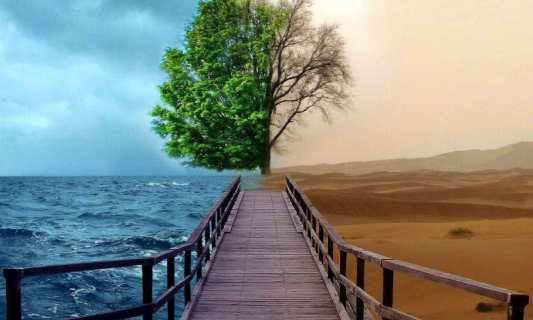 بوی بهشت بر این انسان ها حرام می شود