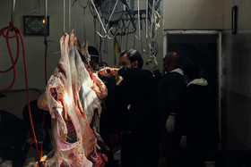 مشکلی در تامین مواد پروتئینی شب عید نداریم