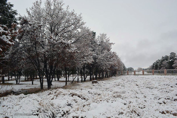 بارش برف و باران در ۱۹ استان کشور/محصولات آماده سریعا برداشت شوند