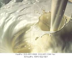 ادعایی تازه درباره مصرف لبنیات/ شیر عملکرد دستگاه ایمنی بدن را مختل می کند/ماست و شیر وپنیر عامل بروز  سرطان