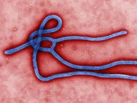 آزمایش تشخیص ابولا در 15 دقیقه