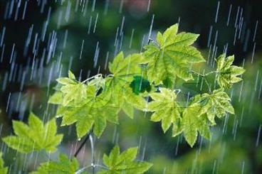 بارندگی ها موجب غفلت در رعایت الگوی مصرف نشود