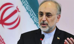مذاکرات وین تجلی توفیقات ملت ایران است