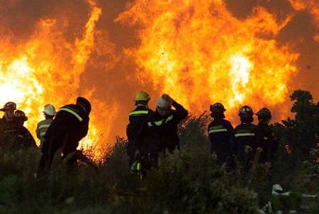 آتش سوزی مهارناپذیر جنگلی در شیلی موجب آوارگی هزاران نفر شد