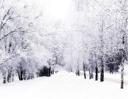 نجات یک خانواده در راه مانده از چنگال بی رحم برف و سرما 