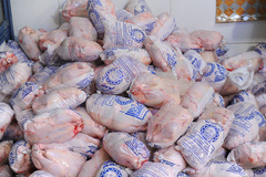 
کاهش قیمت مرغ و انباشت محصول روی دست مرغداران