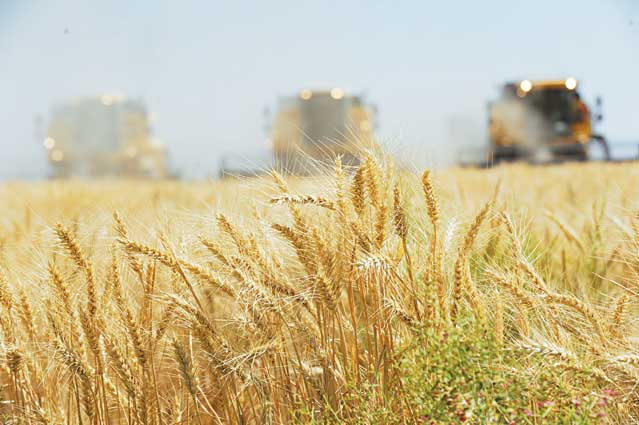 بخش کشاورزی ظرفیت ایجاد ۱۰ میلیون شغل را دارد
