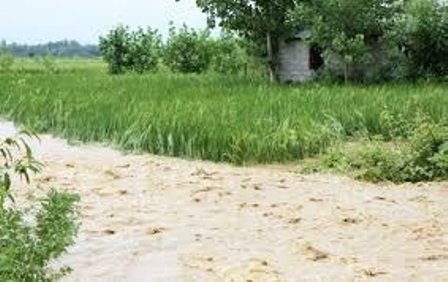 خسارت 340 میلیارد ریالی تگرگ و سیل به بخش کشاورزی خراسان رضوی