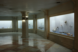 گشت و گذاری در گنجینه آبزیان موزه مرکزی آستان قدس رضوی
