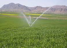 کاهش 50 درصدی مصرف آب در بخش کشاورزی با اجرای آبیاری تحت فشار 