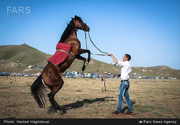  برگزاری بیست دومین دوره جشنواره سوارکاری عشایر آذربایجان شرقی  در کلیبر