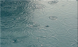 بارش پراکنده باران در ۱۷ استان/ کاهش ۷ درجه‌ای دما در نیمه شمالی