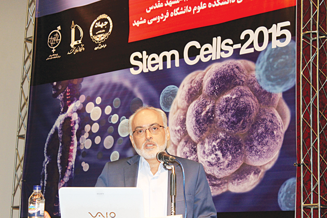 دانش سلولهای بنیادی در ایران، همتراز با دنیاست