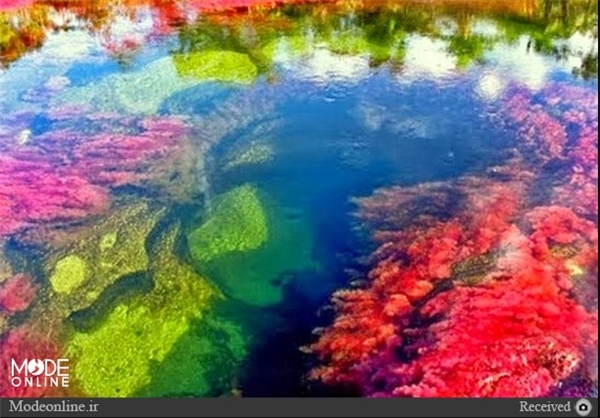 تصاویر/ زیباترین رودخانه جهان