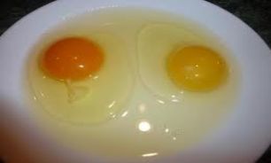 خوردن تخم مرغ در وعده صبحانه باعث کاهش وزن می‌شود