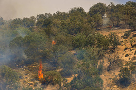 آتش‌سوزی بیش از 50 هکتار جنگل بویراحمد